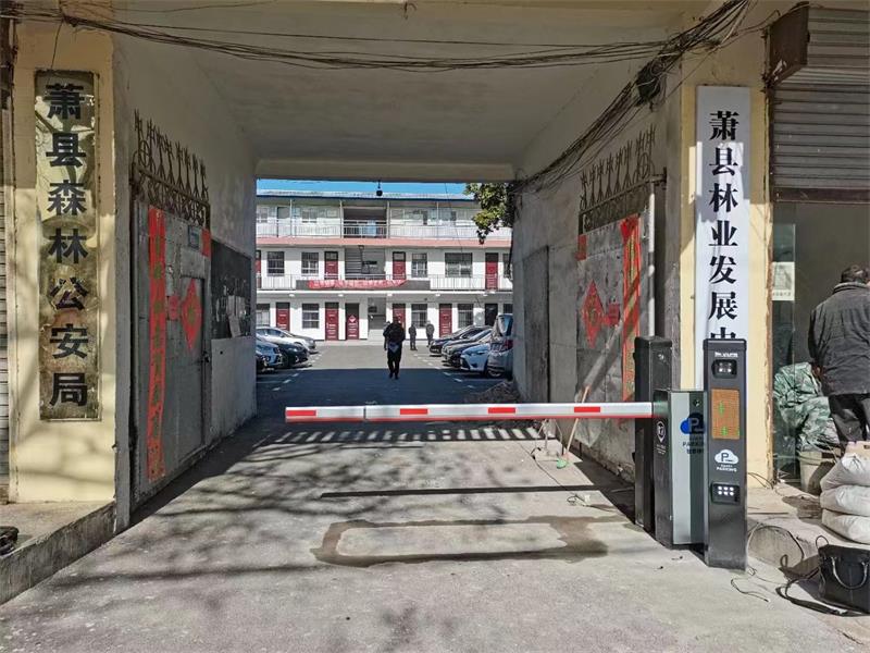 蕭縣森林公安局蜜桃视频免费观看係統